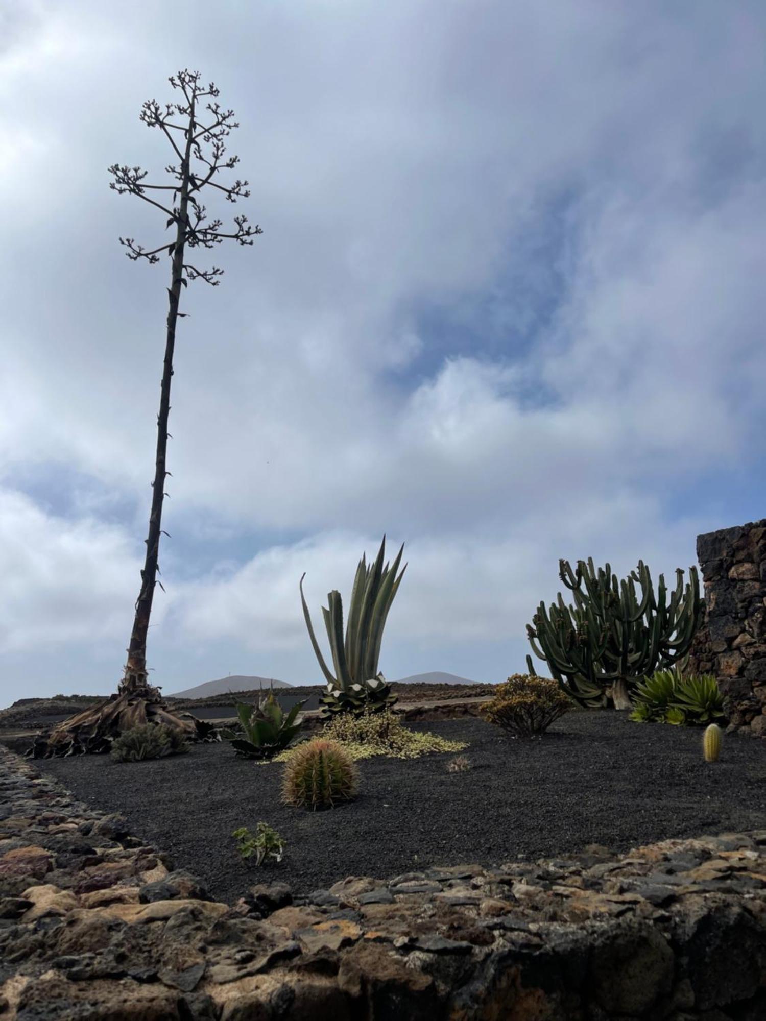 Villa Timanfaya Tinajo Buitenkant foto