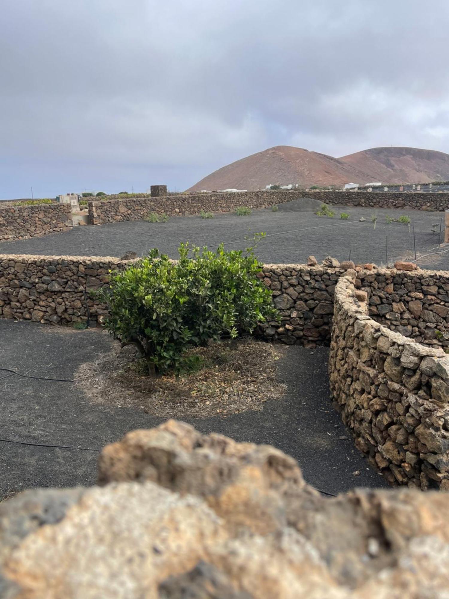 Villa Timanfaya Tinajo Buitenkant foto
