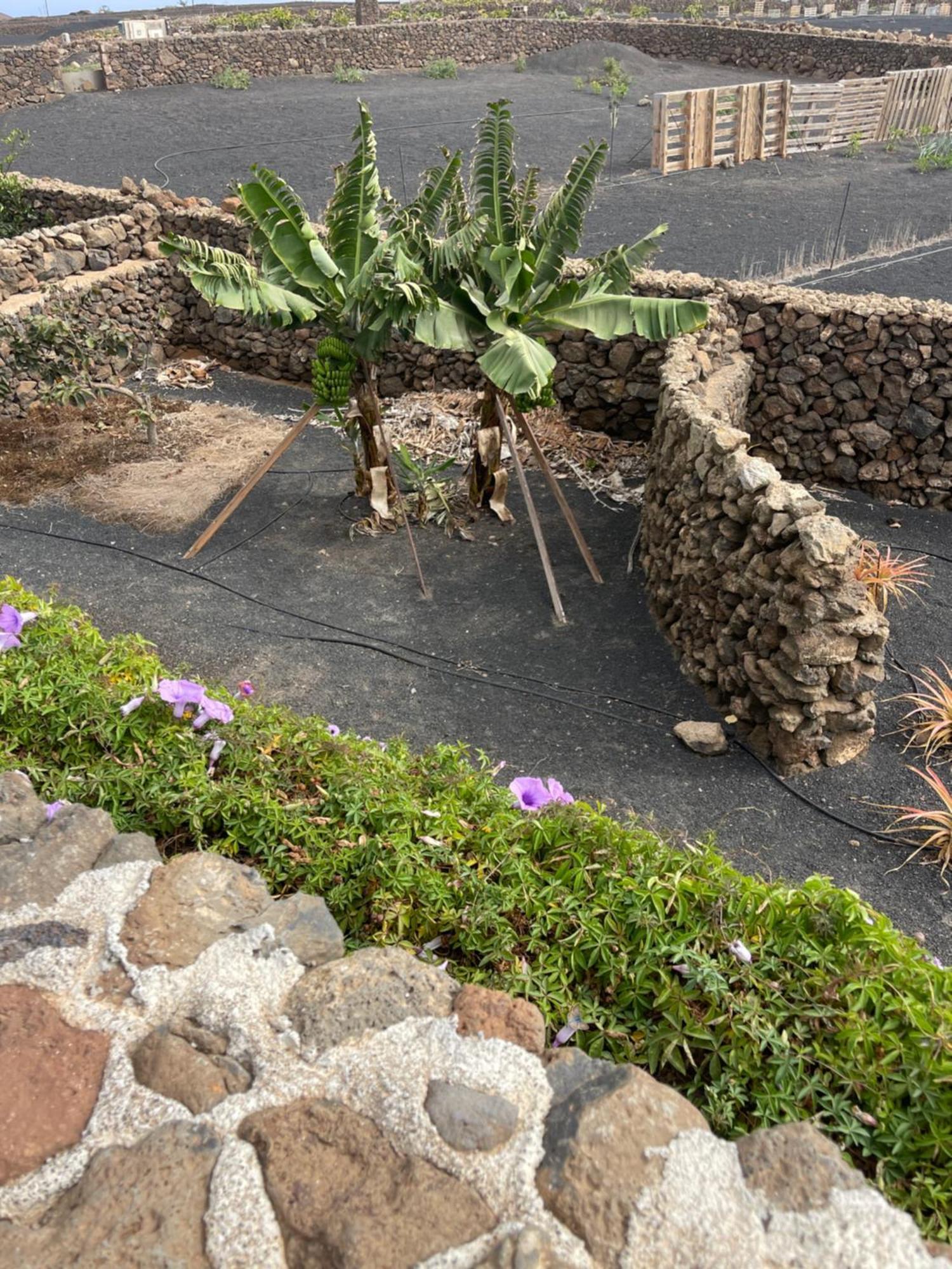 Villa Timanfaya Tinajo Buitenkant foto