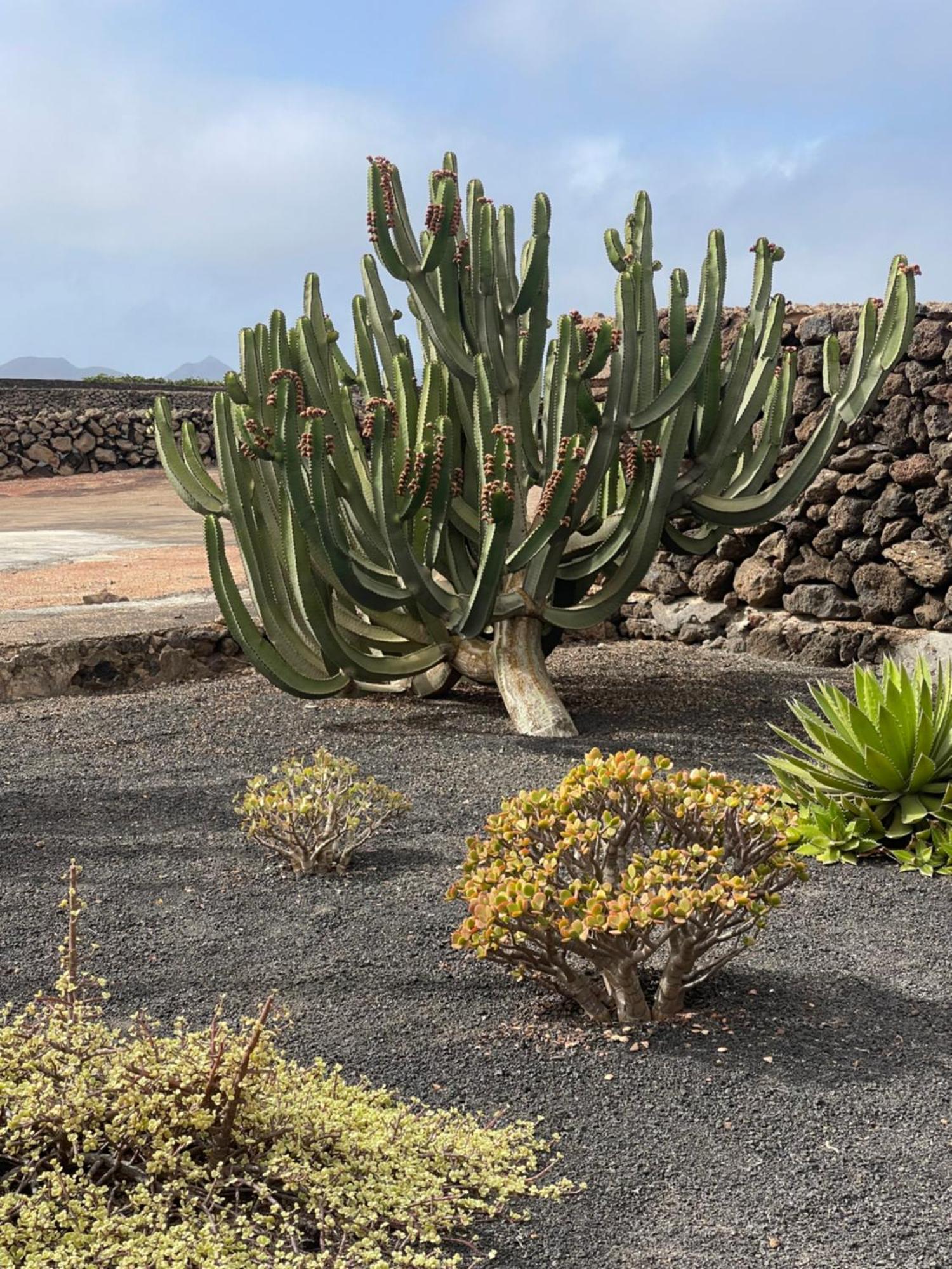 Villa Timanfaya Tinajo Buitenkant foto